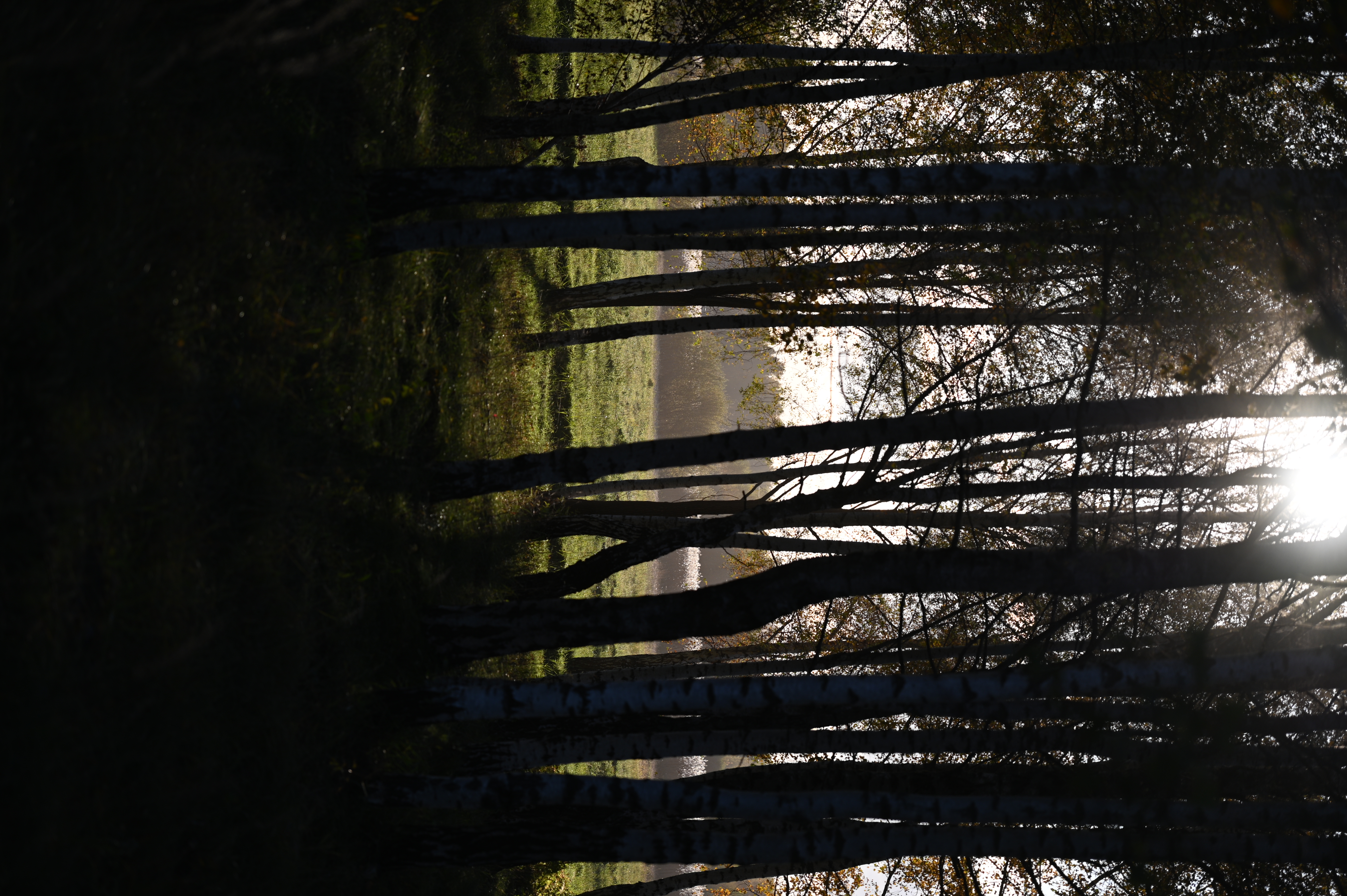 2025/10/18 - walk/DSC_0141.JPG